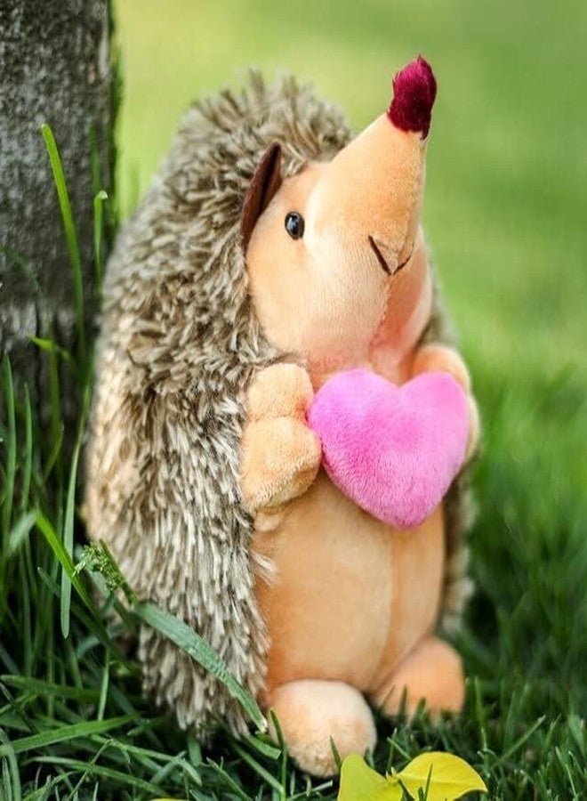 Toyshine 17cm Cute Soft Hedgehog Stuffed Plush Toy Wildlife Zoo Animal Desert Hedgehog Plush Toys, Velentine Gift for Girls Birthday Gift for Kids & Animal Lovers - Image 3